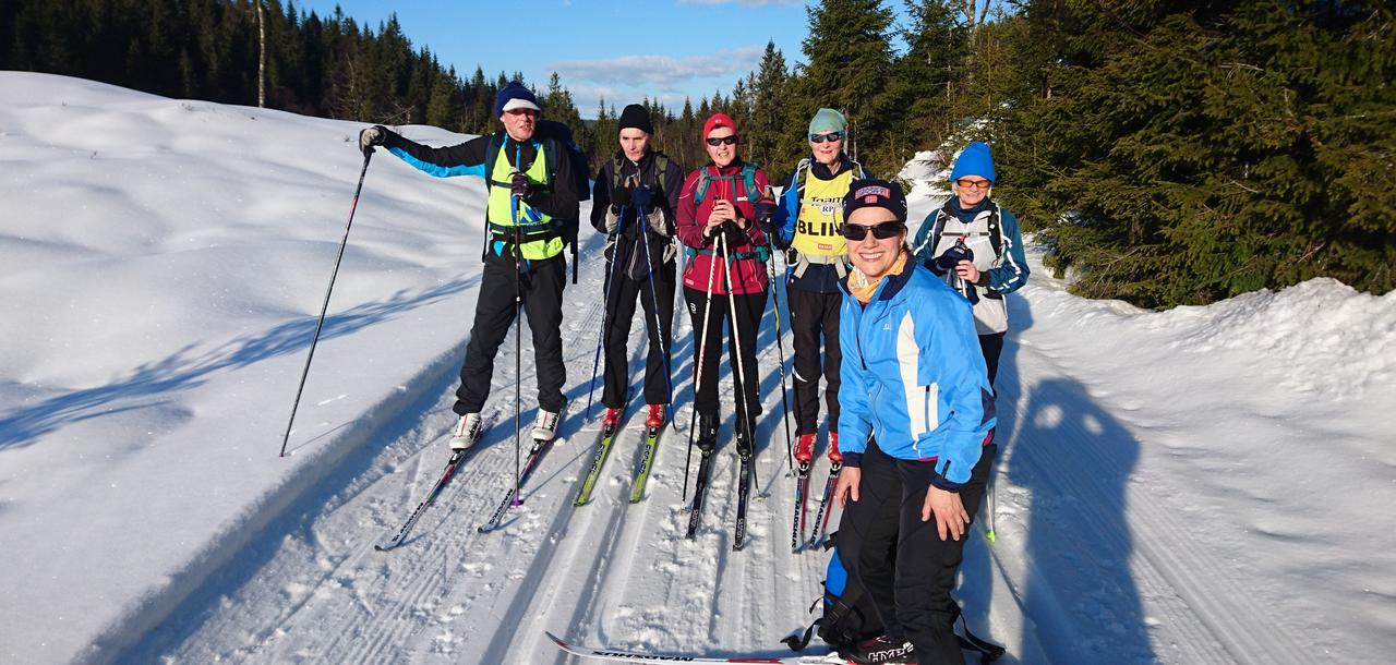 Turgruppen i skisporet. Blå himmel, hvit snø og grønne grantrær.