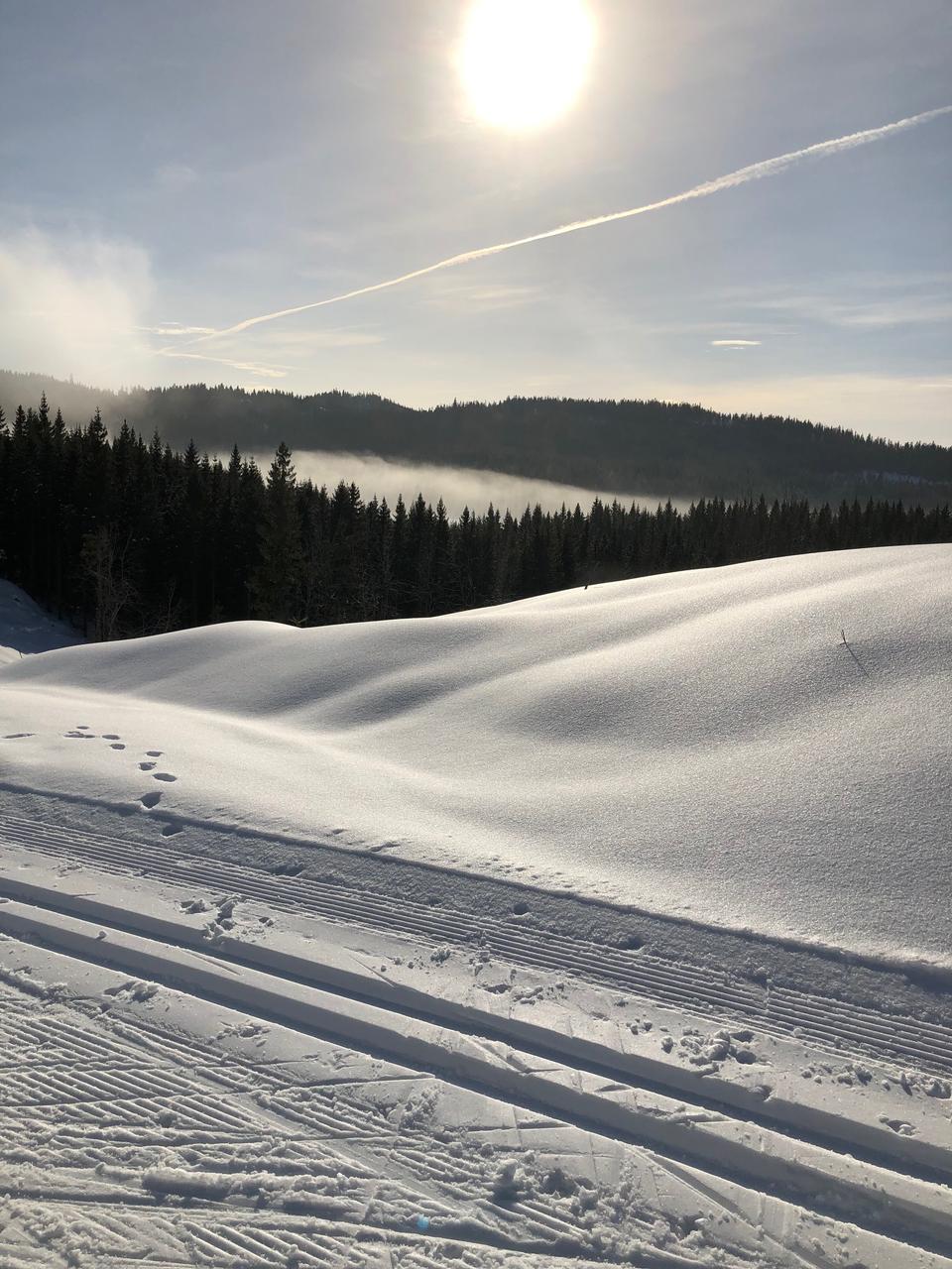 Vidunderlig vakker vinterstemning i Nordamarka. Viser skispor og snø i forgrunnen med sol på disig himmel. Det er grankledde åser i bakrunnen hvor det ligger litt tåke i bunnen.