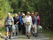 Bildet viser i gruppen i fin fart mot fotografen på en grus i skogen