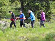 Bildet viser fire personer som går etterhverandre på en gressvoll. To av personene er ledsagere.