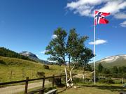 Trykk for å vise stort bildeNorsk flagg, hvite bjørkestammer og snøfjell i bakgrunnen.