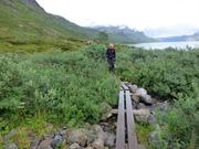 Trykk for å vise stort bildeEn som går på planker over fuktig terreng