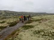 Turfølget på vei med lave skyer over fjelllandskap som er vakkert kledd i grågrønt lav