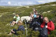 Bildet viser 6 personer og to hunder tar en pause sittende i lyngen i en liten skråning med nydelig sol.