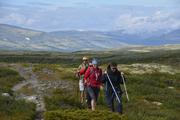 Bildet viser 4 personer i gruppen i fint driv på fjellsti, mens en i bakgrunnen ser fjell og vidder.